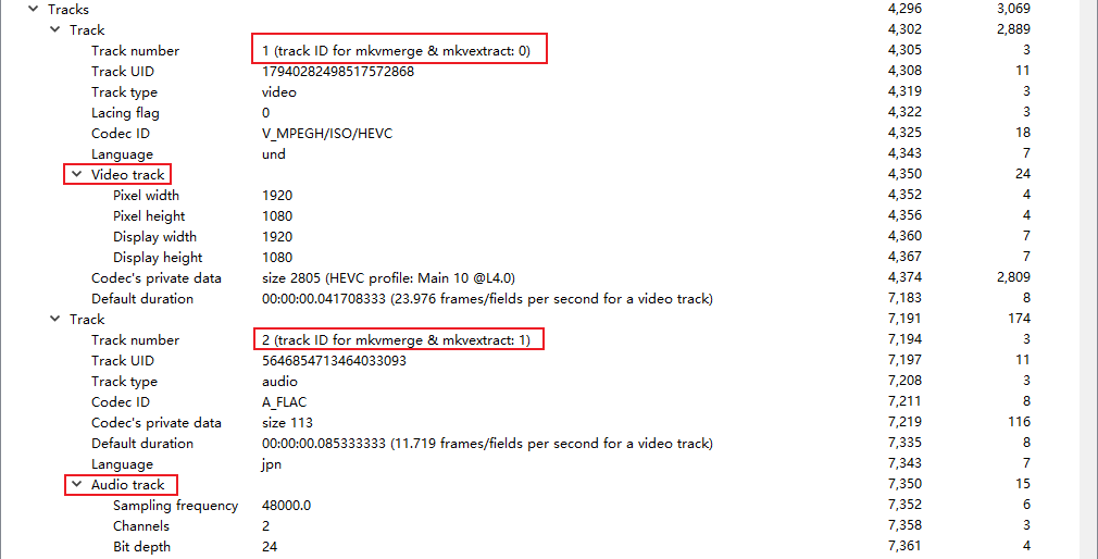 mkv track information